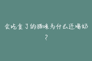 会吃食了的猫咪为什么还喝奶?-动物百科