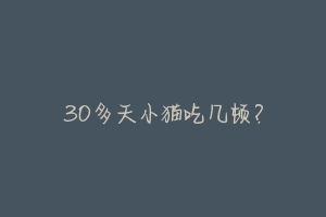 30多天小猫吃几顿?-动物百科
