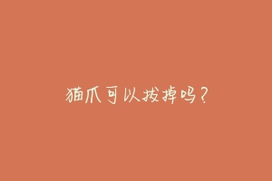 猫爪可以拔掉吗?-动物百科