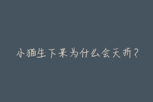 小猫生下来为什么会夭折?-动物百科