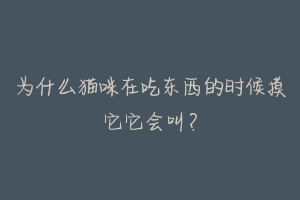 为什么猫咪在吃东西的时候摸它它会叫?-动物百科