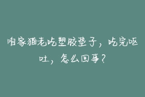 咱家猫老吃塑胶垫子,吃完呕吐,怎么回事?-动物百科