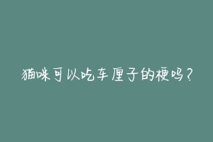 猫咪可以吃车厘子的梗吗?-动物百科