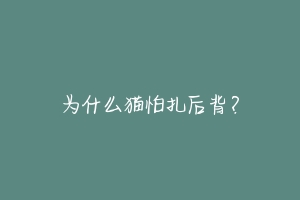 为什么猫怕扎后背?-动物百科