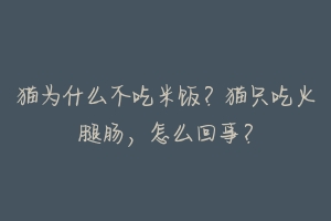 猫为什么不吃米饭?猫只吃火腿肠,怎么回事?-动物百科