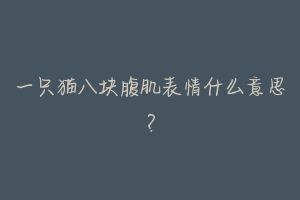 一只猫八块腹肌表情什么意思?-动物百科