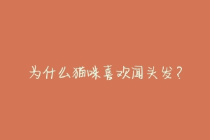 为什么猫咪喜欢闻头发?-动物百科