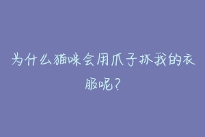 为什么猫咪会用爪子抓我的衣服呢?-动物百科