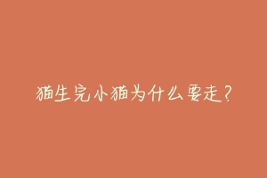 猫生完小猫为什么要走?-动物百科