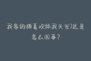 我家的猫喜欢舔我头发)这是怎么回事?-动物百科
