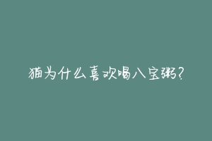 猫为什么喜欢喝八宝粥?-动物百科