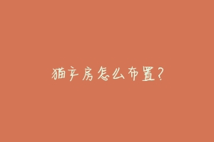 猫产房怎么布置?-动物百科