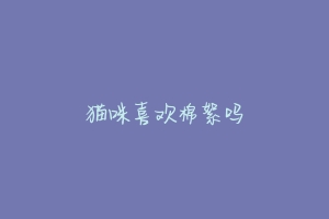 猫咪喜欢棉絮吗-动物百科