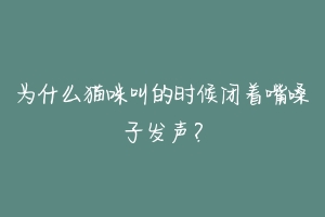 为什么猫咪叫的时候闭着嘴嗓子发声?-动物百科