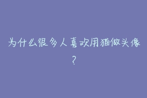 为什么很多人喜欢用猫做头像?-动物百科