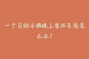 一个月的小猫晚上爱抓东西怎么办?-动物百科