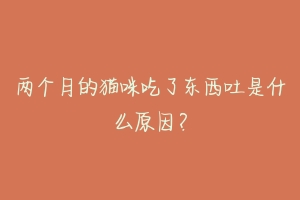 两个月的猫咪吃了东西吐是什么原因?-动物百科