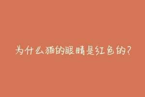 为什么猫的眼睛是红色的?-动物百科