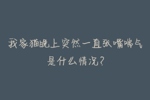 我家猫晚上突然一直张嘴喘气是什么情况?-动物百科