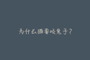 为什么猫要咬兔子?-动物百科