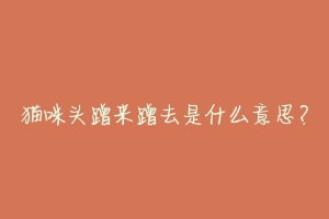 猫咪头蹭来蹭去是什么意思?-动物百科