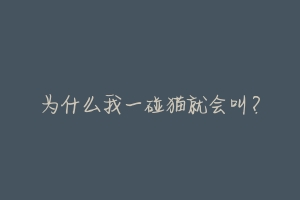 为什么我一碰猫就会叫?-动物百科