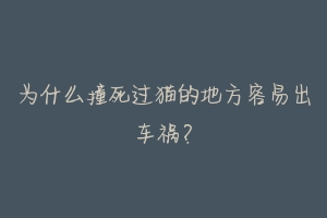 为什么撞死过猫的地方容易出车祸？-动物百科