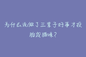 为什么说做了三辈子好事才投胎成猫咪？-动物百科