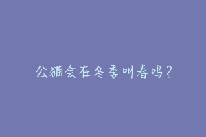 公猫会在冬季叫春吗?-动物百科