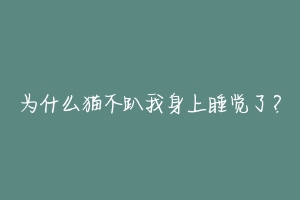为什么猫不趴我身上睡觉了?-动物百科