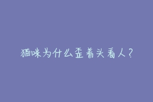 猫咪为什么歪着头看人?-动物百科