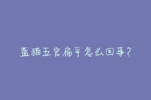 蓝猫五官扁平怎么回事?-动物百科