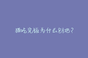 猫吃完饭为什么刨地?-动物百科