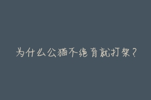 为什么公猫不绝育就打架?-动物百科