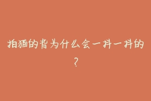 拍猫的背为什么会一抖一抖的?-动物百科