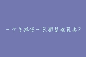 一个手拉住一只猫是啥意思?-动物百科
