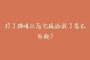 打了猫咪以后它疏远我了怎么补救?-动物百科