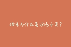 猫咪为什么喜欢吃小麦？-动物百科