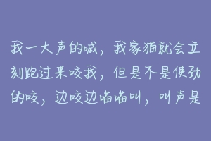 我一大声的喊,我家猫就会立刻跑过来咬我,但是不是使劲的咬,边咬边喵喵叫,叫声是比较吭吭唧唧那种,怎?-动物百科
