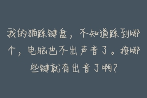 我的猫踩键盘,不知道踩到哪个,电脑也不出声音了。按哪些键就有出音了啊?-动物百科