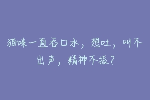 猫咪一直吞口水,想吐,叫不出声,精神不振?-动物百科