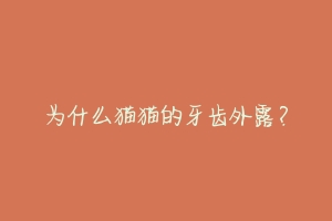 为什么猫猫的牙齿外露?-动物百科