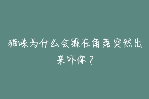 猫咪为什么会躲在角落突然出来吓你?-动物百科