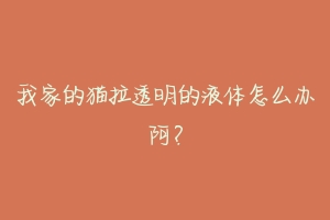 我家的猫拉透明的液体怎么办阿?-动物百科