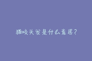 猫咬头发是什么意思?-动物百科