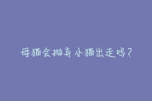 母猫会抛弃小猫出走吗?-动物百科