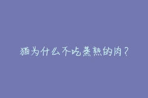 猫为什么不吃蒸熟的肉?-动物百科