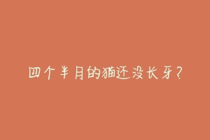 四个半月的猫还没长牙?-动物百科