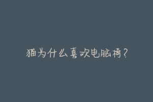 猫为什么喜欢电脑椅?-动物百科