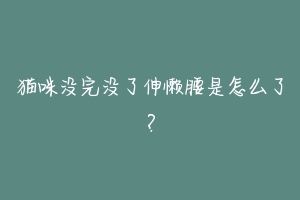 猫咪没完没了伸懒腰是怎么了?-动物百科